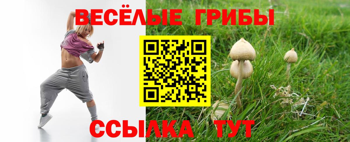 Урай  Галлюциногенные грибы прущие грибы  Псилоцибиновые грибы Cubensis  Вход с VPN 